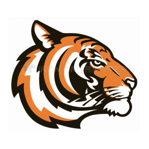 Princeton Tigers Logo T-shirts Iron On Transfers N5925